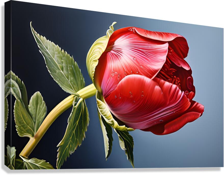 Crimson Elegance Canvas Print