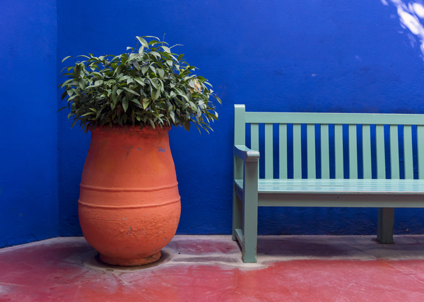 Flower-pot and bench Majorelle Garden Marrakech by Petr Svarc