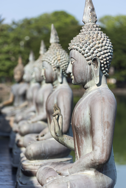 Buddha Statues Colombo Sri Lanka by Petr Svarc