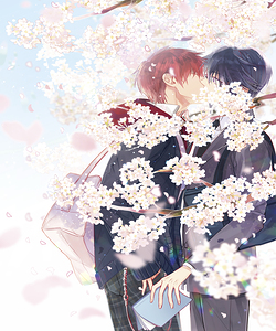 K Project 25