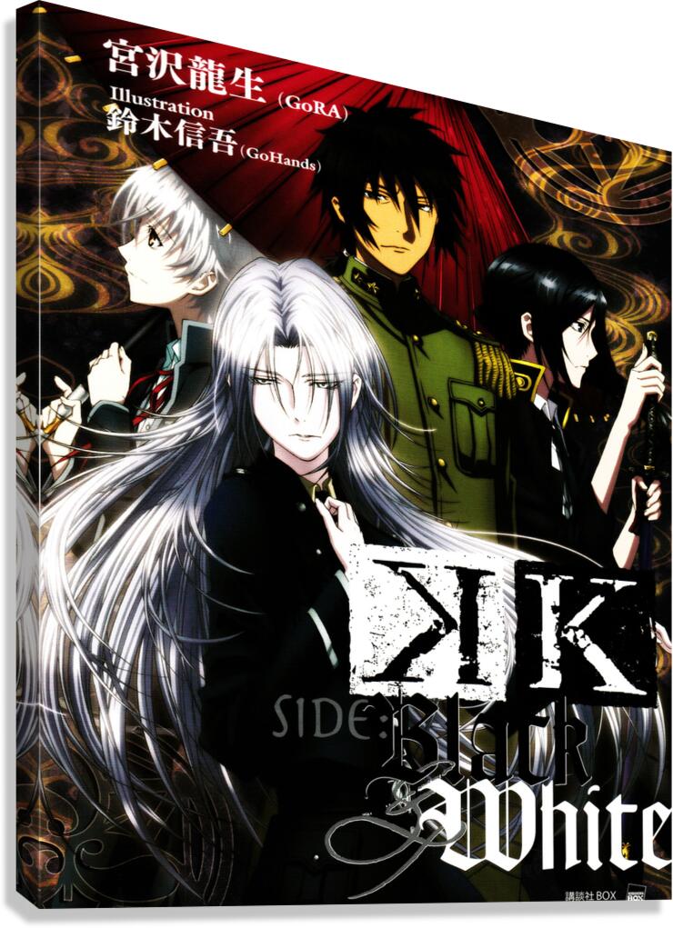 K Project 9 Canvas Print