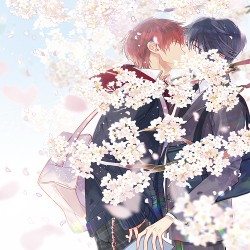K Project 25