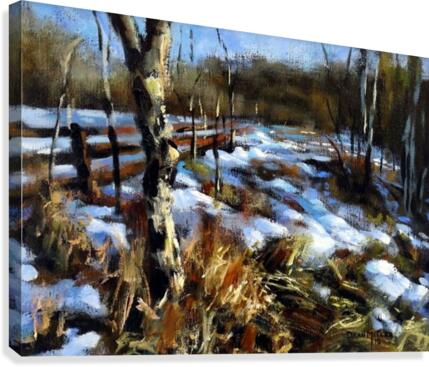 Birch Tree Canvas Print