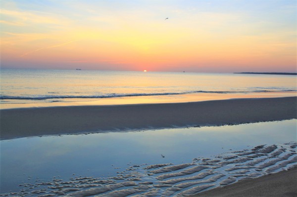 Summer Beach Sunrise by A_B_Goddess Photography