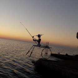 Fisherwoman Sonya     