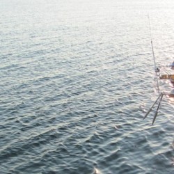 Fisherwoman Sonya