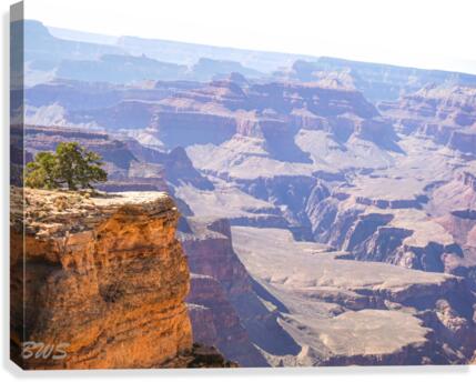 GC Canvas Print