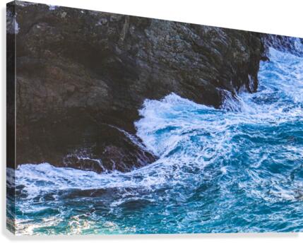 L & S  Canvas Print