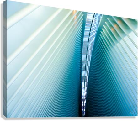 A R C  Canvas Print