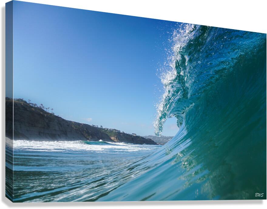 BLACKS Canvas Print