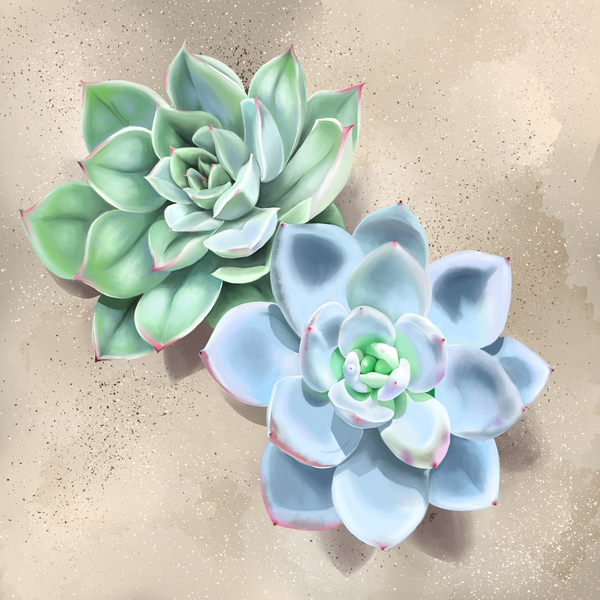 Succulent Print