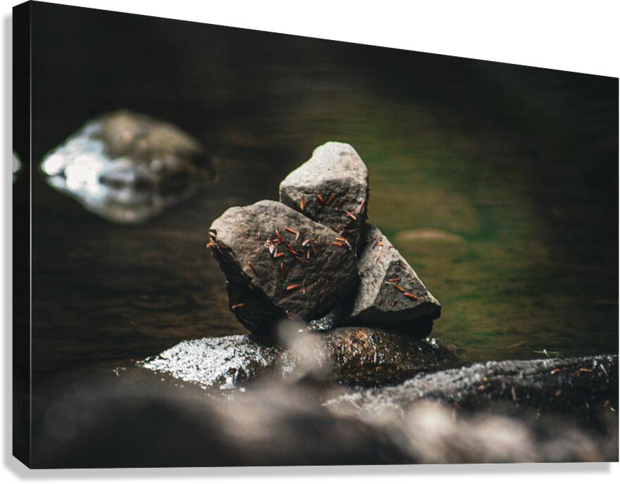Rock Formation Canvas Print