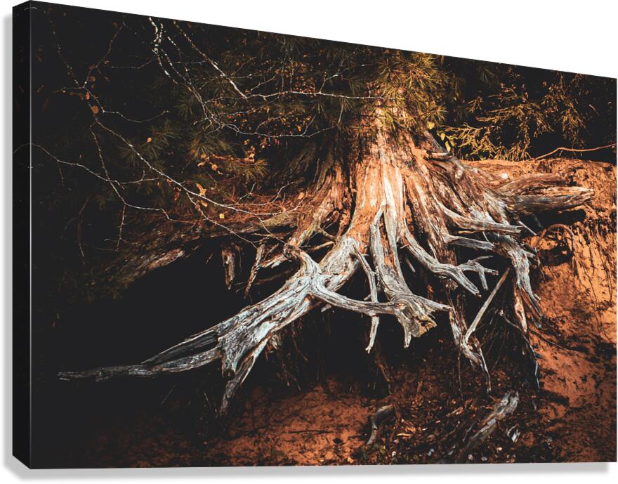 Strength Canvas Print