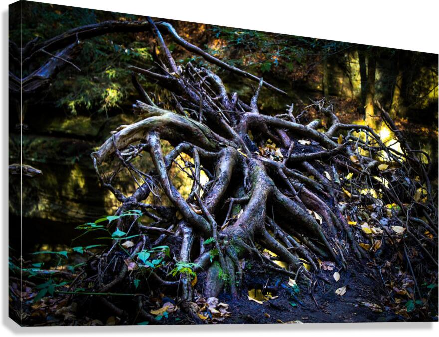 Neuron Canvas Print