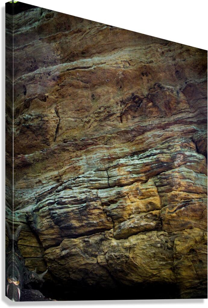 Colours Canvas Print