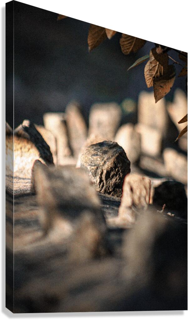 Individuality Canvas Print
