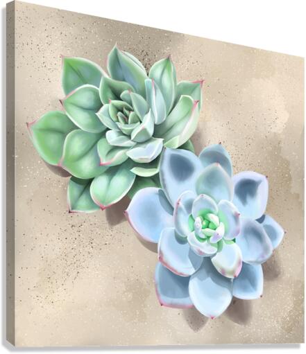 Succulent Canvas Print
