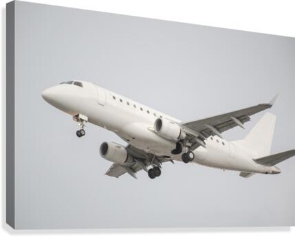 airplane landing Canvas Print