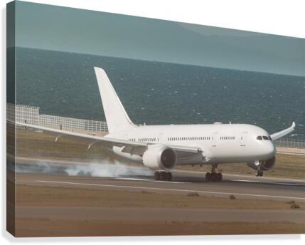 airplane landing  Canvas Print