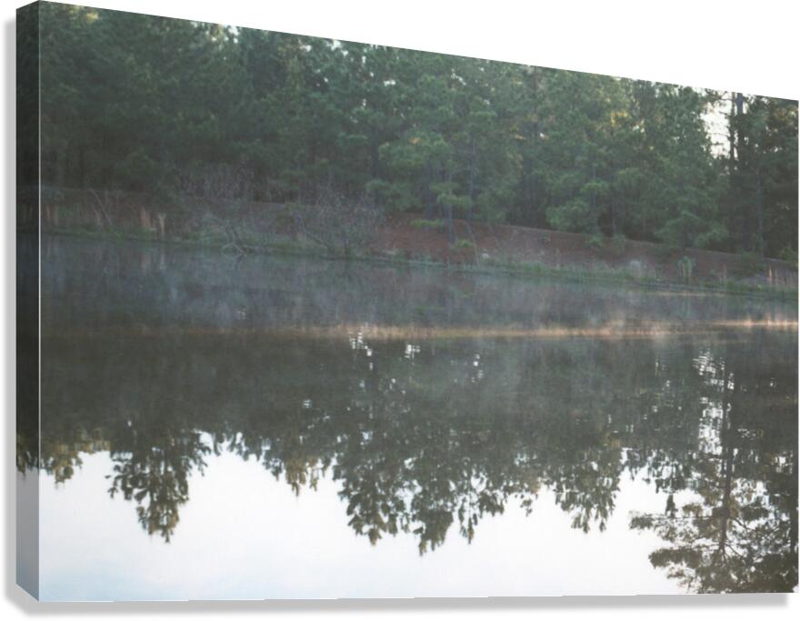 Warda Reflection Canvas Print