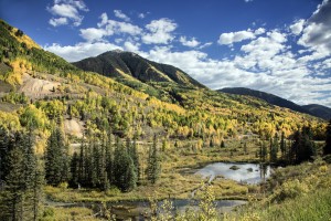 Spectacular fall scene near Rico in Dolores County  Colorado.