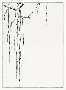 Tree branches