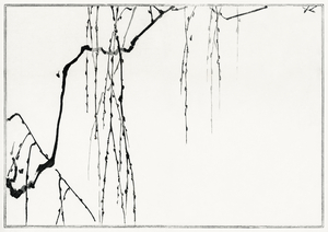 Tree branches 2