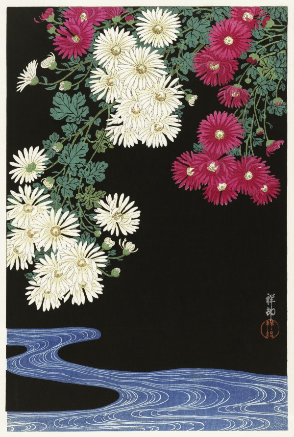 Chrysanthemums Print