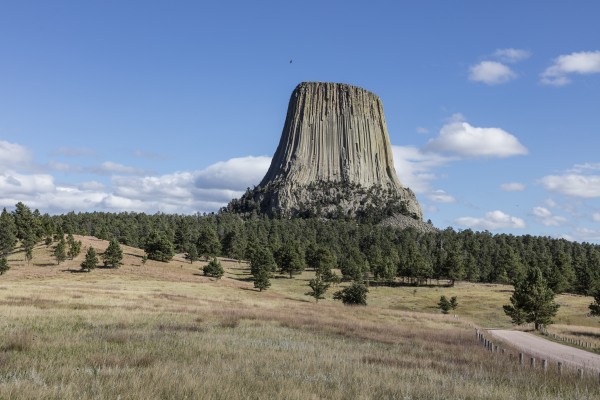 Devils Tower Print
