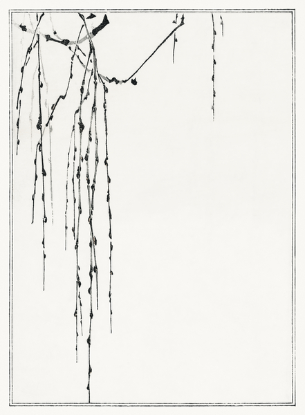 Tree branches Print