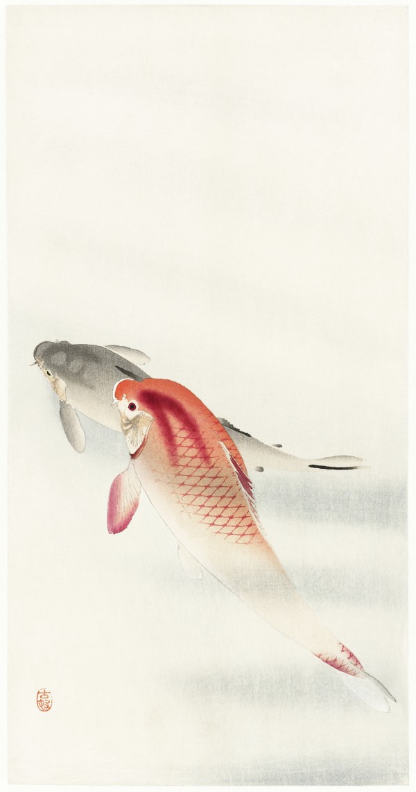 Two carp Print