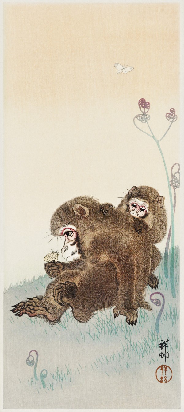 Two monkeys Print