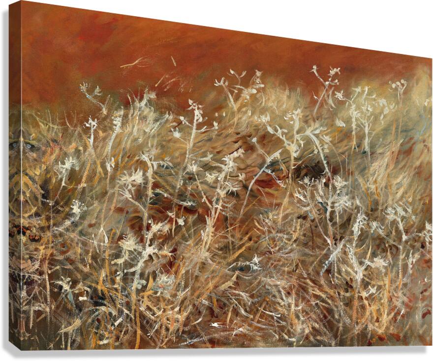Thistles Canvas Print