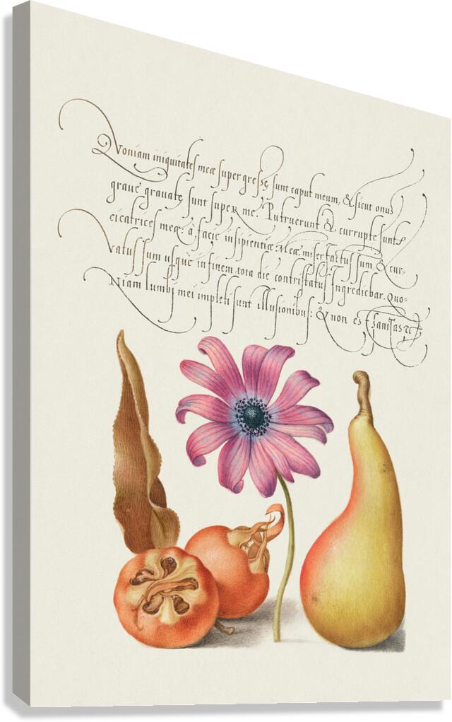 medieval manuscript Canvas Print