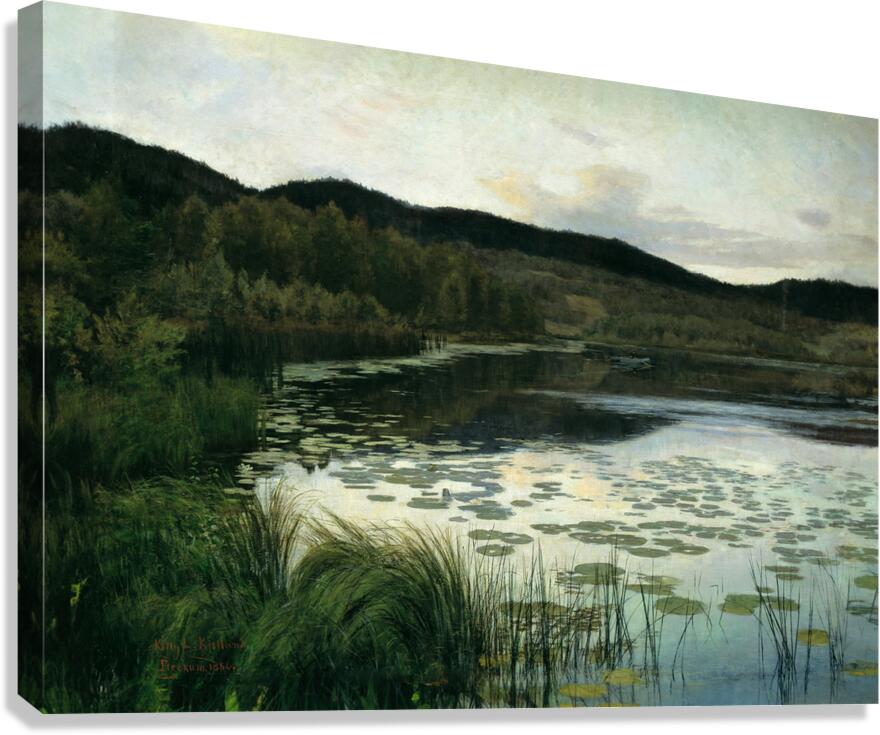 Summer Night Canvas Print