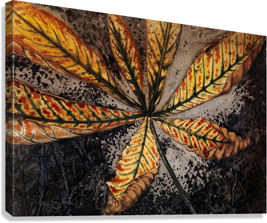 Chestnut leaf  Canvas Print