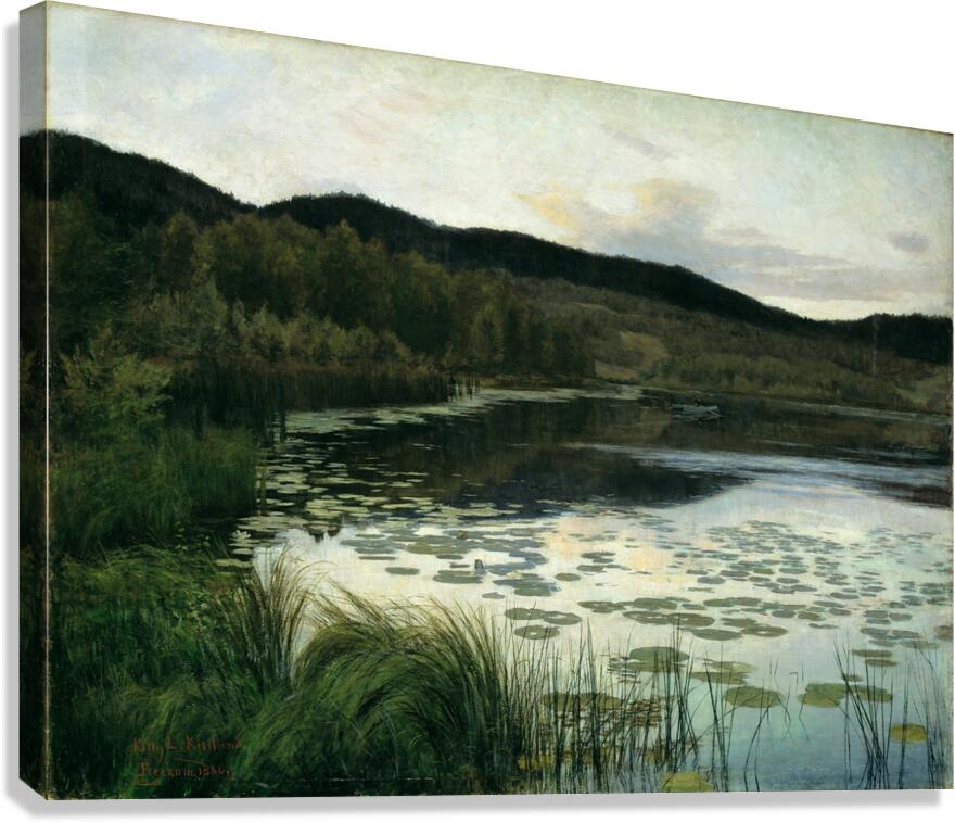Summer Night Canvas Print