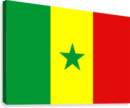 Senegal Canvas Print