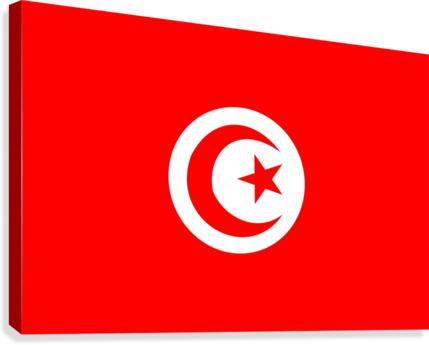 Tunisia Canvas Print