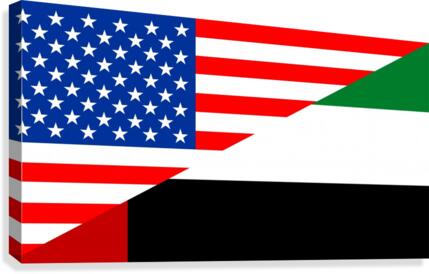 usa uae Canvas Print