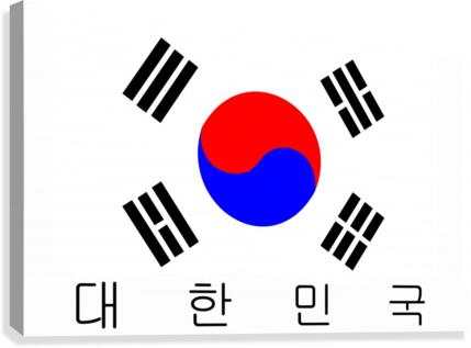 corea de sud Canvas Print