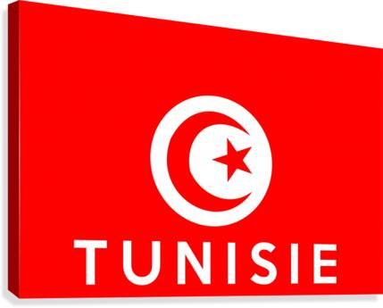 Tunisie Canvas Print