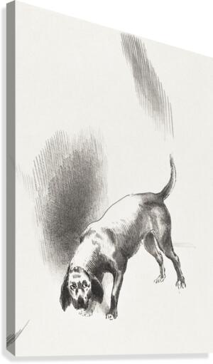 The Dog Canvas Print