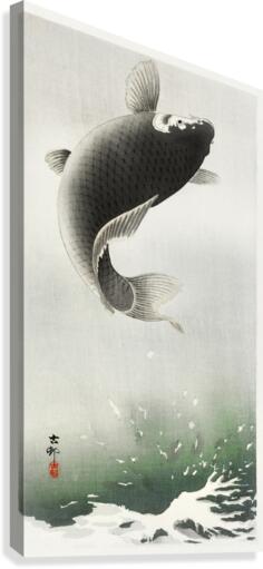 A jumping carp Canvas Print