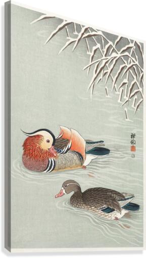 Mandarin ducks Canvas Print