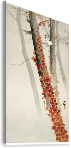 Red ivy Canvas Print