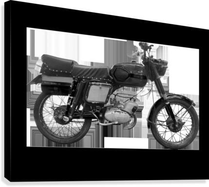 mobra Canvas Print