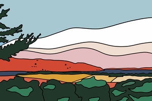 BSP