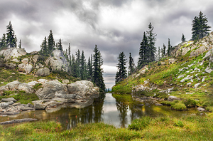 The Tempting Journey Ahead