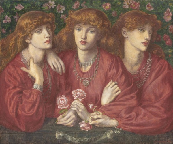 Rosa Triplex Print